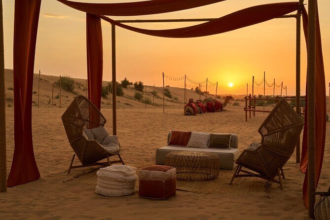 Noble Evening Desert Safari & Dinner Private Car Up to 6 Guests - Practical Tips