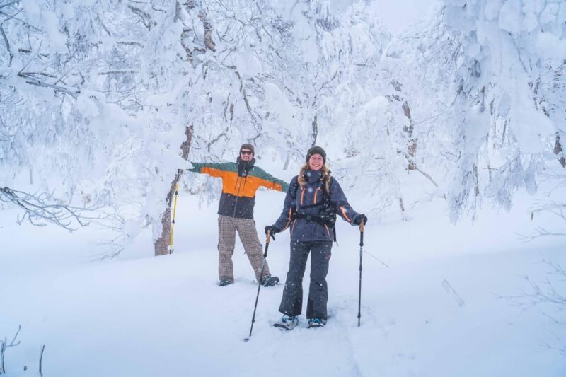 Noboribetsu: Orofure Pass Snowshoeing Tour - Key Points