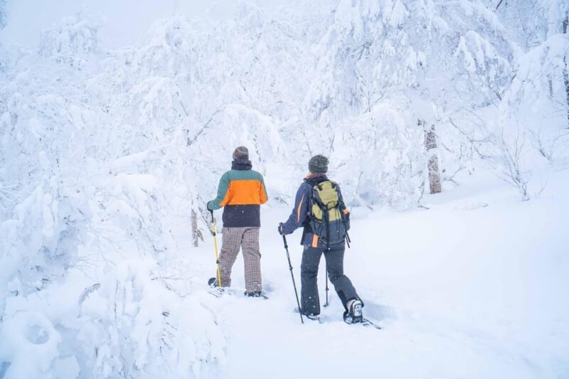 Noboribetsu: Orofure Pass Snowshoeing Tour - The Guide and Group Size