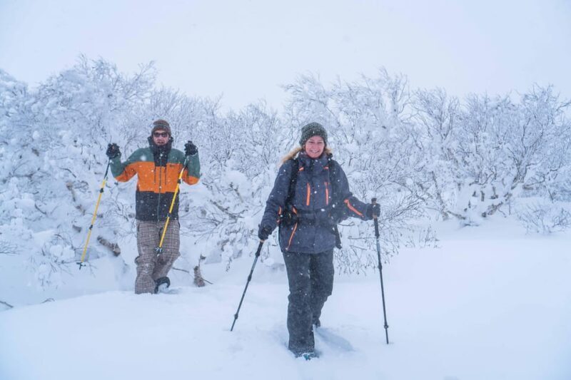 Noboribetsu: Orofure Pass Snowshoeing Tour - Price and Value