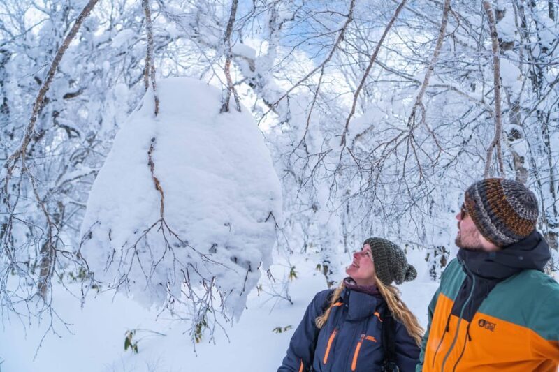 Noboribetsu: Orofure Pass Snowshoeing Tour - Final Thoughts
