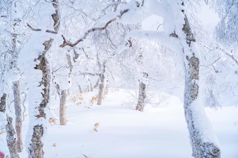 Noboribetsu: Orofure Pass Snowshoeing Tour - FAQs