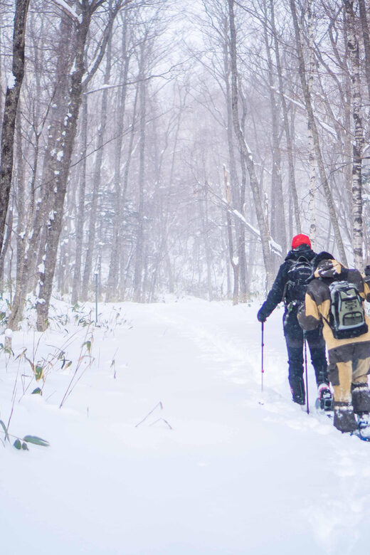 Noboribetsu: Snowshoe trip to Ice Caves - Who Should Consider This Tour?