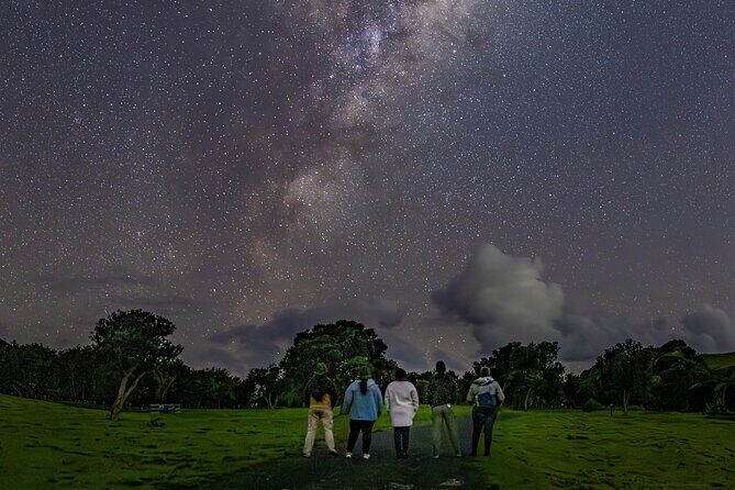 Nocturnal Wonders Tawharanui Kiwi Spotting and Stargazing Tour - Key Points