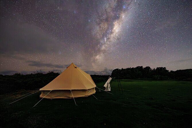 Nocturnal Wonders Tawharanui Kiwi Spotting and Stargazing Tour - The Sum Up