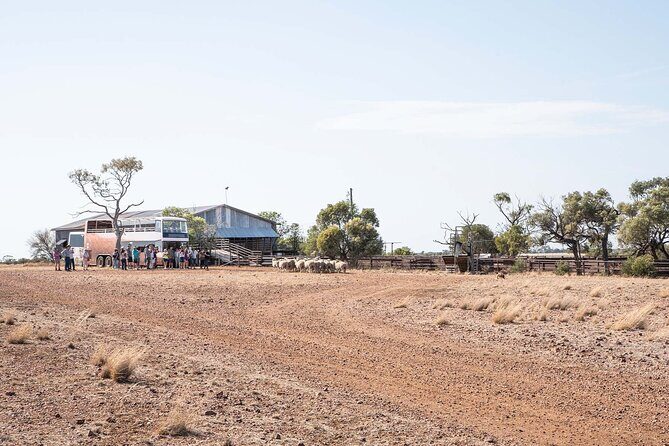 Nogo Station Experience - A Heritage Tour of Longreach