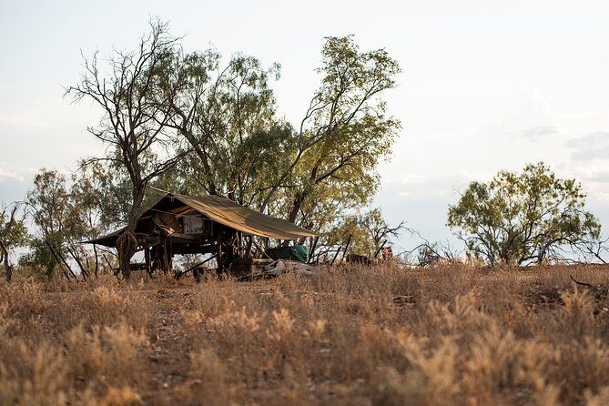 Nogo Station Experience - A Bush Camp Lunch with Pioneer Flavour