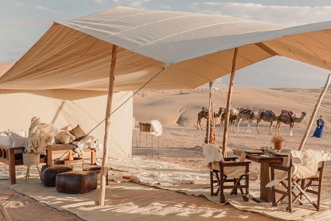 Nomad desert dinner camel ride & bonfire : Marrakech activity - Key Points