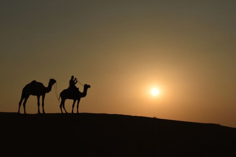 Nomadic Non-Touristic Overnight Camel & Desert Safari Tour - Practical Details and Tips