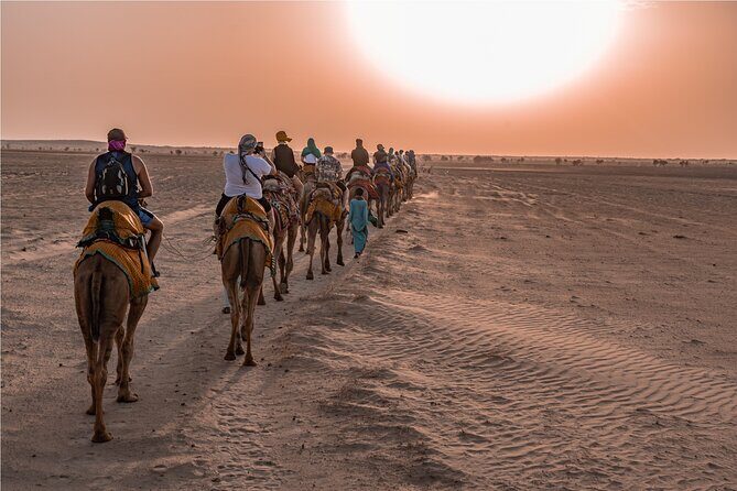 Nomadic Non-Touristic Overnight Camel & Desert Safari Tour - Who Will Love This Tour?