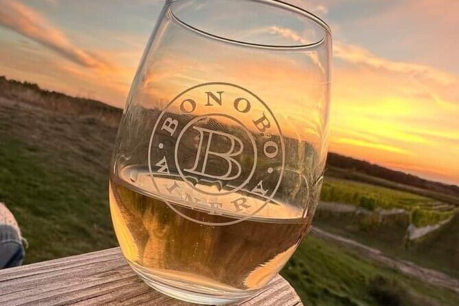 NON-BUS 2 couple / 4 person Traverse City Old Mission Wine Tour - Final Thoughts
