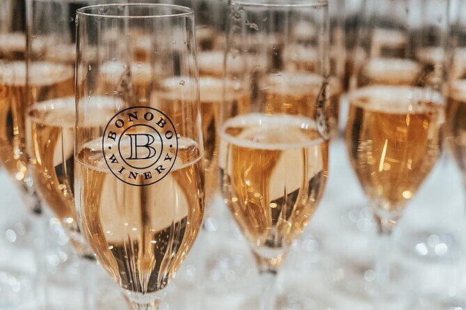 NON BUS Champagne Wine Tour in Traverse City Shared Experience - Key Points