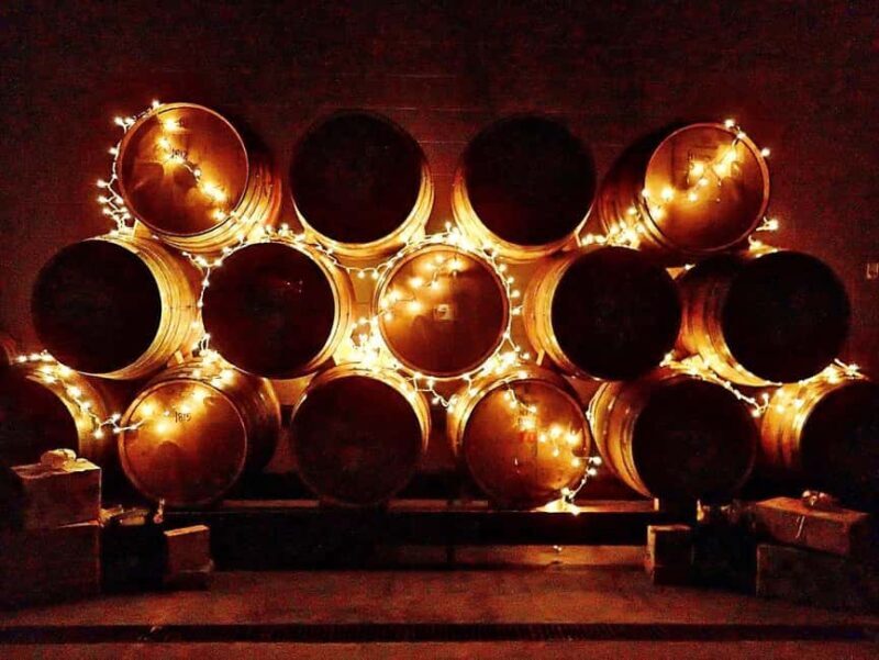 NON BUS Sunday Funday Traverse City Old Mission Wine Tour - An Introduction to the Experience