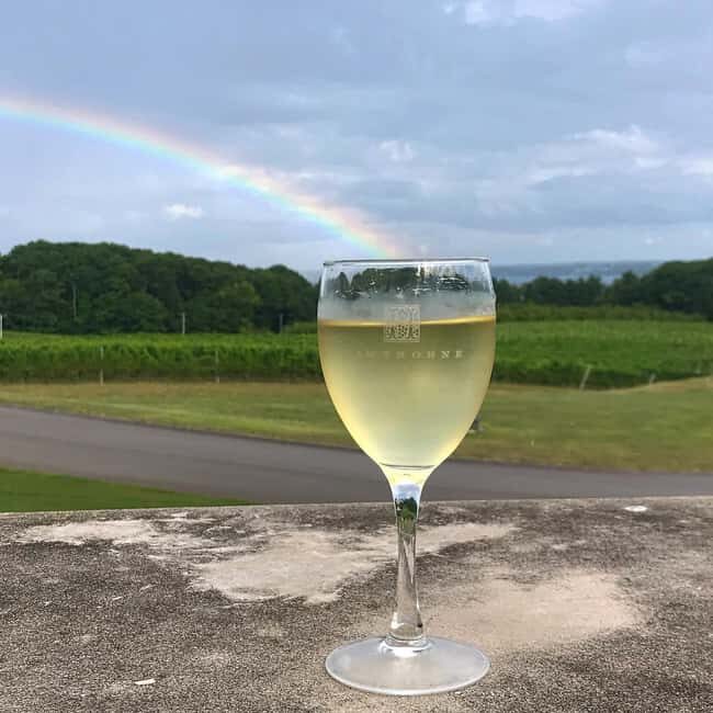 NON BUS Sunday Funday Traverse City Old Mission Wine Tour - Authentic Experiences and What Travelers Say