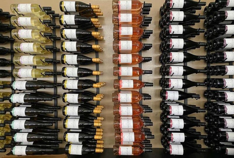 NON BUS Sunday Funday Traverse City Old Mission Wine Tour - Practical Considerations