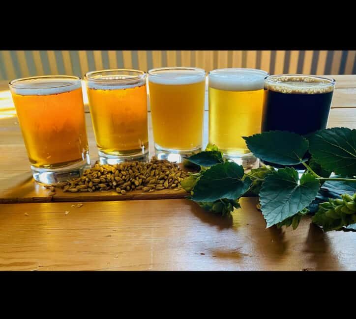 NON BUS Traverse City IPA, Beer, Distillery and Wine Tour - Final Thoughts