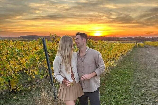 Non Bus Traverse City Leelanau Peninsula Sunset Wine Tour - The Itinerary in Detail