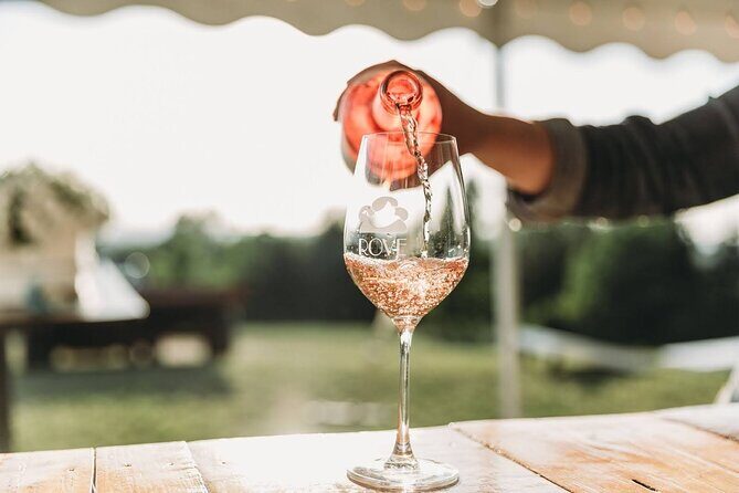 Non Bus Traverse City Leelanau Peninsula Sunset Wine Tour - Final Thoughts: Who Will Love This Tour?