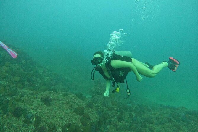 Non-Certified Diving Adventure in Cabo San Lucas - Who Should Consider This Tour?