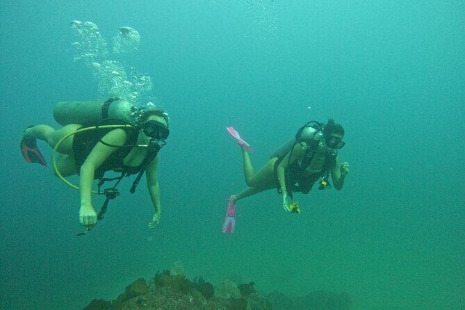Non-Certified Diving Adventure in Cabo San Lucas - The Sum Up
