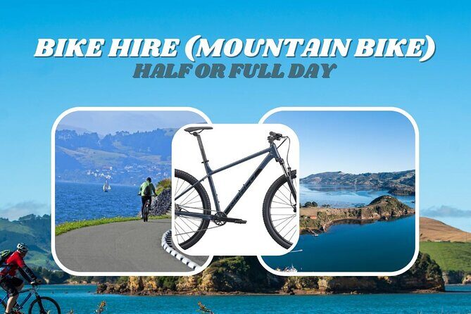 Non-Electric Bike Rental - Key Points