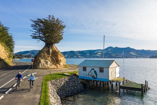 Non-Electric Bike Rental - The Practicalities of the Non-Electric Bike Rental