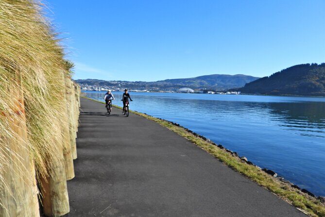Non-Electric Bike Rental - Who Will Love This Bike Rental?