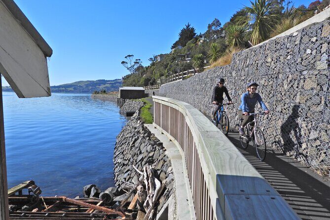 Non-Electric Bike Rental - The Sum Up: Is This the Right Choice for You?