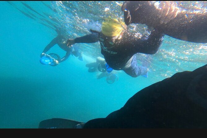 Non Swimmers Discovery Tour ocean - Exploring the Experience Step-by-Step
