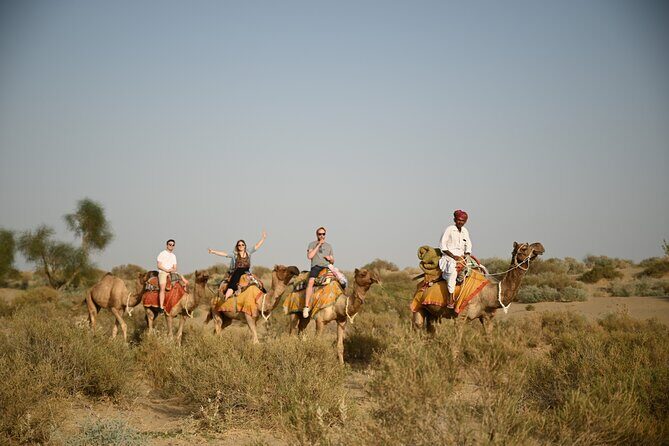 Non-Touristic Overnight Camel Safari with Stargazing Hidden Tour In Desert - An Honest Look at the Non-Touristic Overnight Camel Safari in Jaisalmer