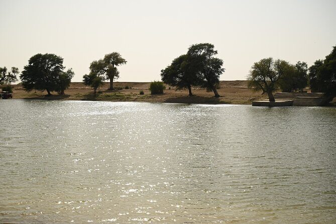 Non-Touristic Overnight Camel Safari with Stargazing Hidden Tour In Desert - Authenticity and Guest Feedback