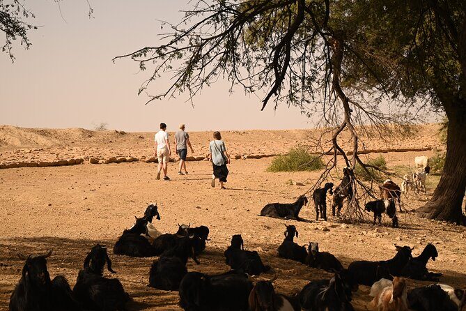 Non-Touristic Overnight Camel Safari with Stargazing Hidden Tour In Desert - FAQ