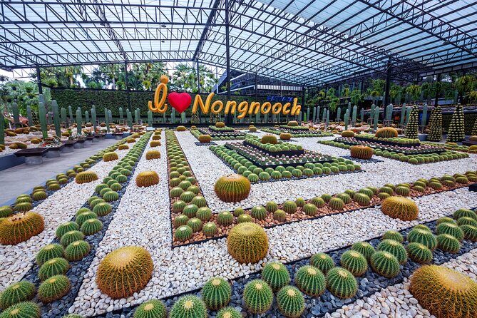 Nong Nooch Tropical Garden Ticket in Pattaya - Analyzing the Value
