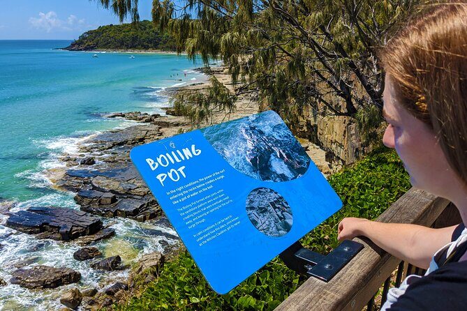 Noosa, Aussie Animals & Glass House Mountains from Brisbane - Key Points