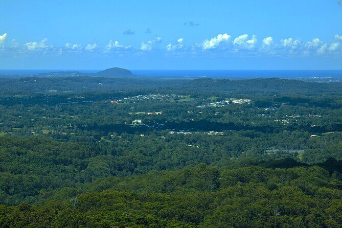 Noosa, Aussie Animals & Glass House Mountains from Brisbane - What Reviewers Say