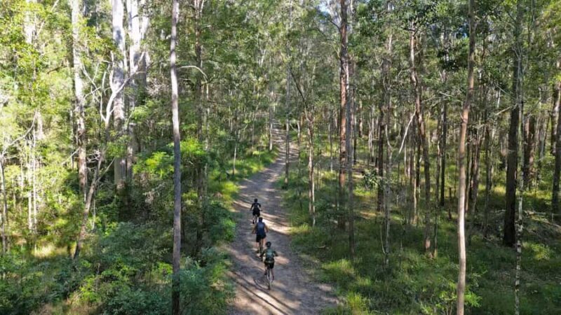 Noosa Biosphere Trails Guided eMountain Bike Tour - The Itinerary: A Closer Look