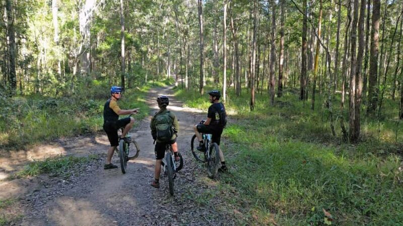 Noosa Biosphere Trails Guided eMountain Bike Tour - Who Should Consider This Tour?