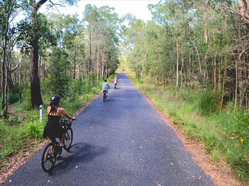 Noosa: E-Bike Tour from Mt Tinbeerwah to Noosa - Final Thoughts