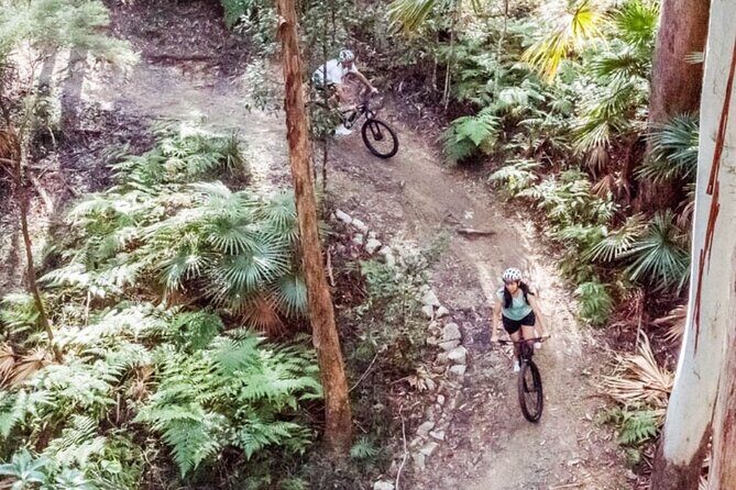 Noosa eMtn Bike Tour: Exploring a National Park on Fun MTB Trails - The Small-Group Advantage