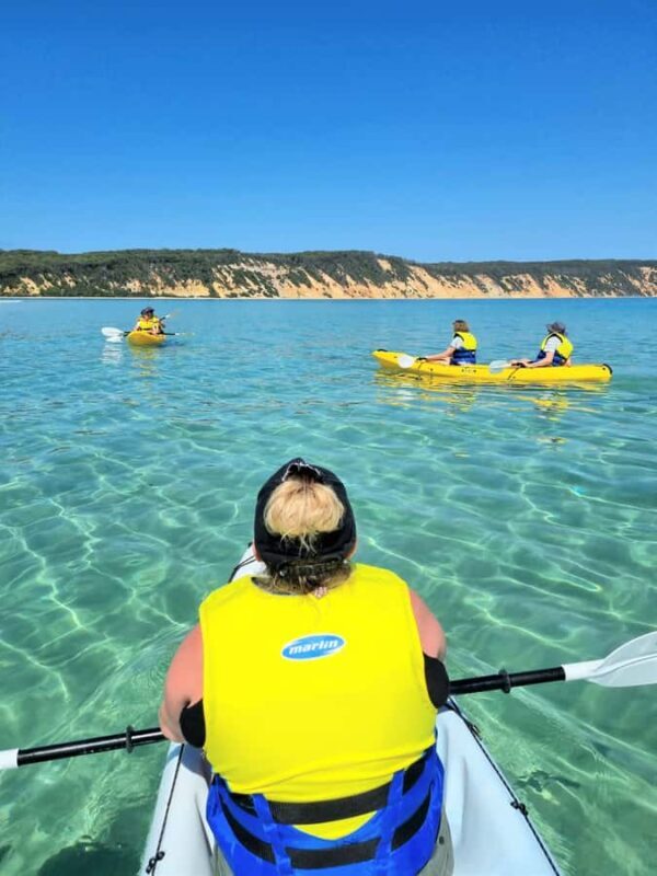Noosa: Epic Ocean Kayak with Dolphins & 4WD Beach Adventure - Key Points