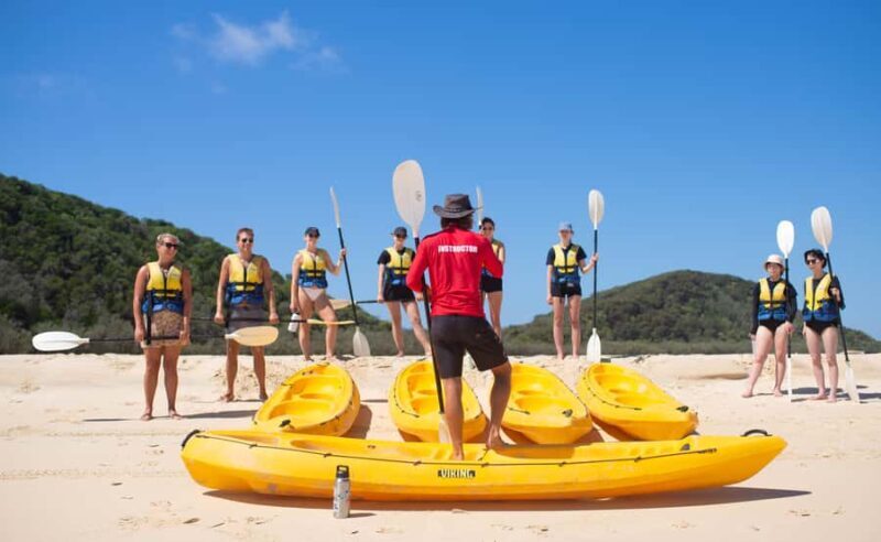 Noosa: Epic Ocean Kayak with Dolphins & 4WD Beach Adventure - Final Thoughts: Is It Worth It?
