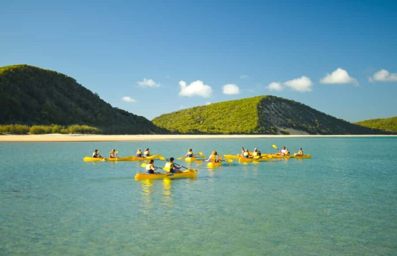 Noosa: Epic Ocean Kayak with Dolphins & 4WD Beach Adventure - Final Words
