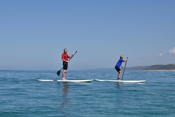 Noosa: Epic Stand Up Paddle Wildlife & Beach 4X4 Adventure - What You Can Expect from This Full-Day Adventure