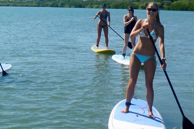 Noosa: Epic Stand Up Paddle Wildlife & Beach 4X4 Adventure - Who Should Book This Tour?