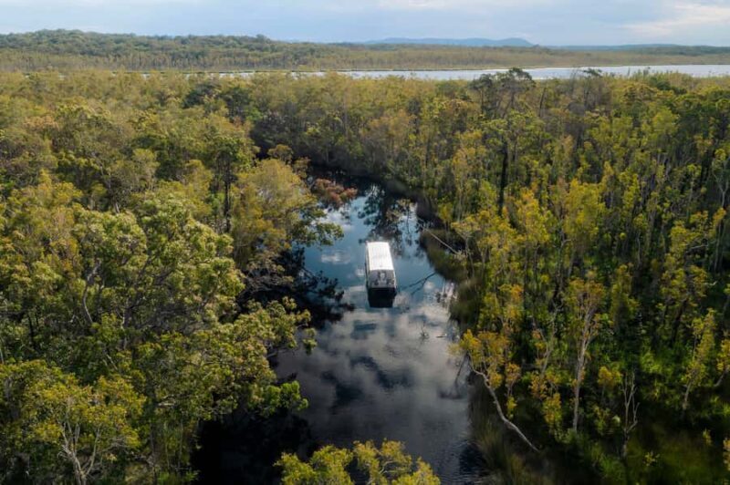 Noosa: Everglades Explorer Cruise - An Introduction to the Noosa Everglades Explorer Cruise