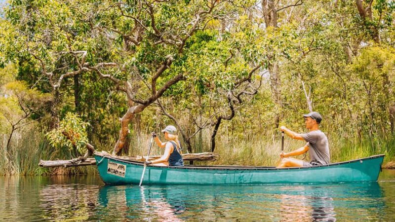 Noosa: Everglades Explorer Cruise - The Itinerary in Detail