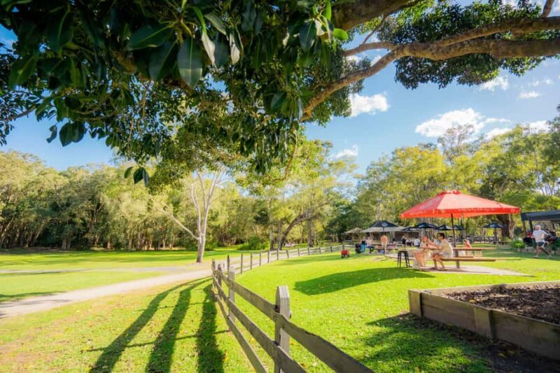 Noosa: Everglades Explorer Cruise - Who Would Love This Tour?