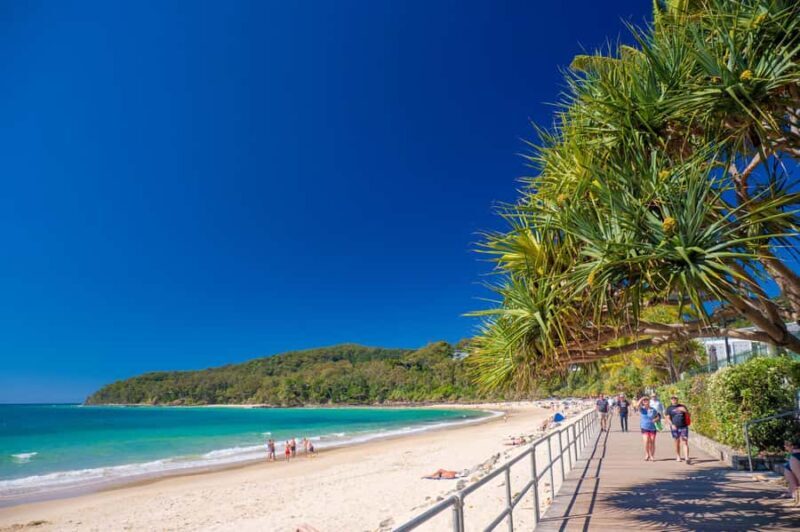 Noosa Heads and Eumundi Markets Private Tour from Brisbane - Who Would Love This Tour?