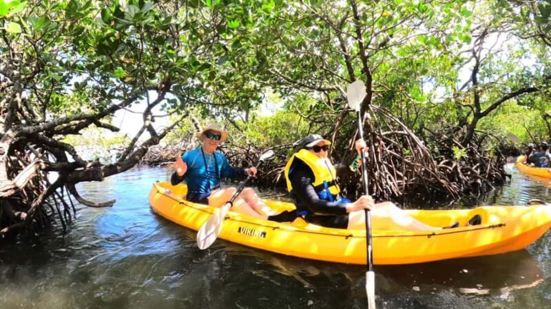Noosa Heads: Hidden Waterways Wildlife Kayak (Fully Guided) - The Itinerary in Detail
