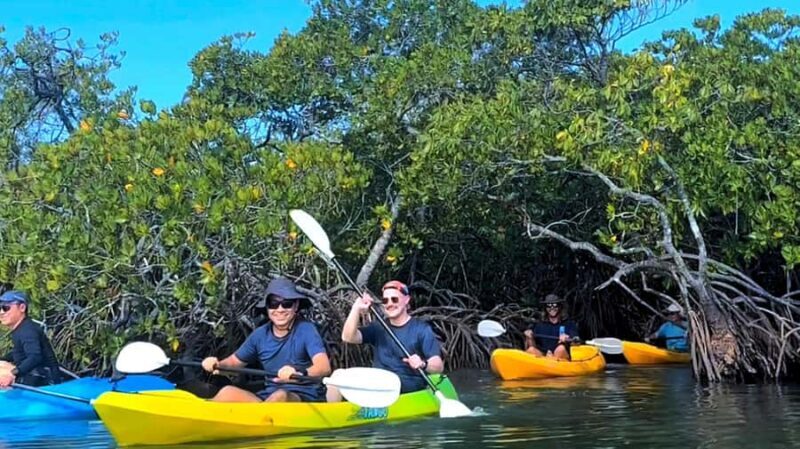Noosa Heads: Hidden Waterways Wildlife Kayak (Self-Guided) - The Experience in Detail